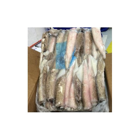 CALAMARI SP.PATAG. C4L 5 KG RIAZOR